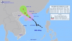 Bão số 1 cách Quảng Ninh 400km, tạm dừng cấp phép hoạt động các phương tiện biển