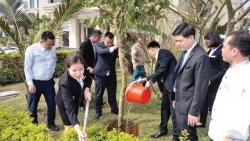 Tập đoàn Mường Thanh triển khai tháng môi trường "For Green World”