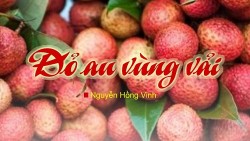 Một bài thơ tôn vinh cái đẹp