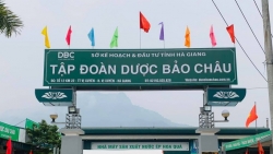 Tập đoàn Dược Bảo Châu, Công ty Phân bón Miền Nam bị phạt vi phạm chứng khoán