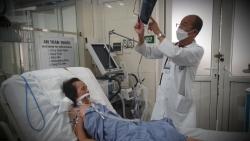 Bệnh nhân 75 tuổi bị mò đốt dẫn đến suy hô hấp, nhiễm khuẩn huyết