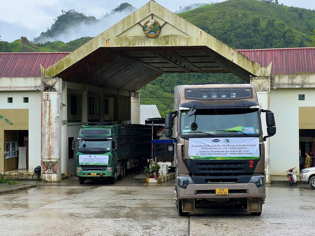 Đoàn xe 35 chiếc đón 1000 bò sữa thuần chủng HF từ cảng quốc tế Nghi Sơn (Thanh Hóa) và di chuyển về cửa khẩu Nậm Cắn ngay trong đêm.