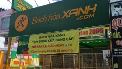 Vì sao Bách Hóa Xanh đóng cửa hàng trăm cửa hàng?