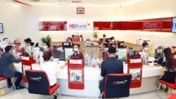 HDBank chuẩn bị chia cổ tức tỷ lệ 25%, ước lợi nhuận 6 tháng vượt kế hoạch