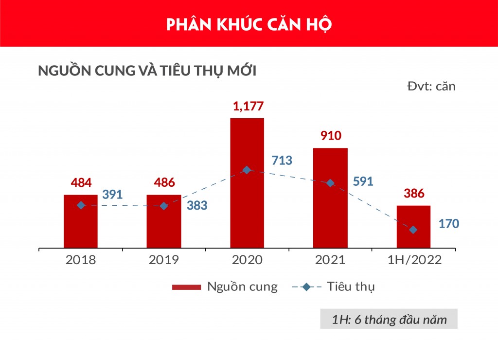 Phân khúc căn hộ trong 6 tháng đầu năm 2022 (Nguồn: DKRA Vietnam)