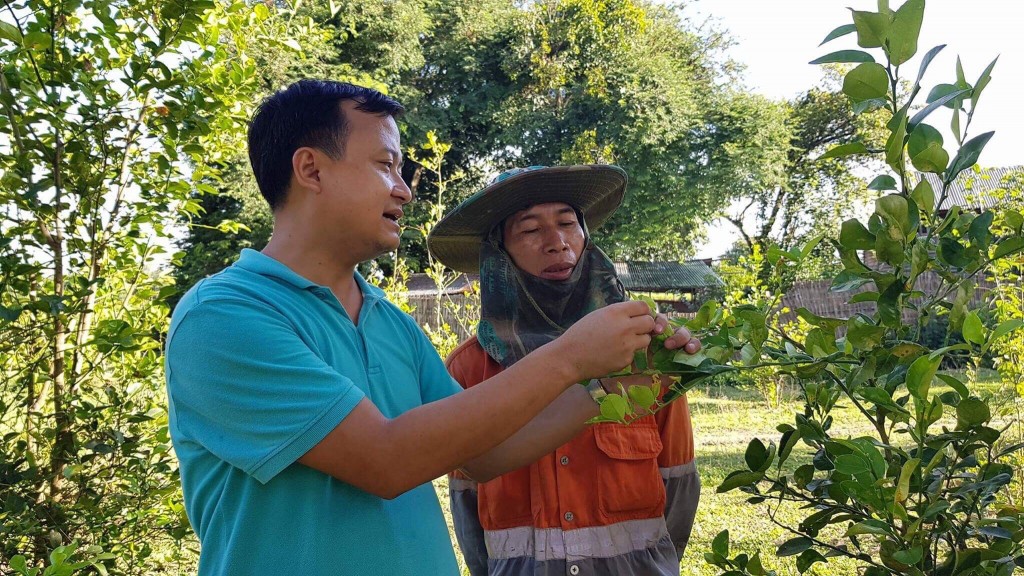 Anh Nguyễn Đức Ninh trong một chuyến tình nguyện sang Lào hướng dẫn người nông dân chăm sóc cây trồng 