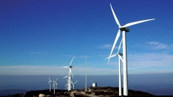 Kiến nghị dự án điện gió, điện mặt trời dở dang đàm phán giá bán với EVN