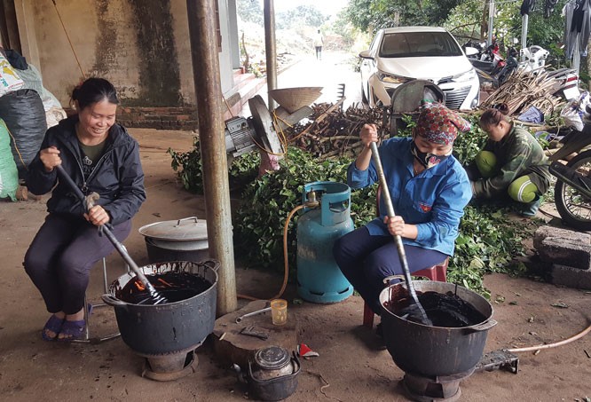 Phát triển kinh tế xã hội, giảm nghèo bền vững vùng đồng bào dân tộc thiểu số