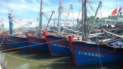 Nghệ An: Khi nào chủ trương hỗ trợ ngư dân bám biển được triển khai?