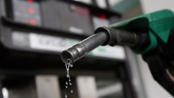 Nhiều doanh nghiệp xăng dầu đầu mối bị tước giấy phép kinh doanh