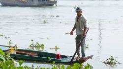 TP Hồ Chí Minh: Tái diễn cảnh trên bờ thả cá phóng sinh, dưới sông chích điện