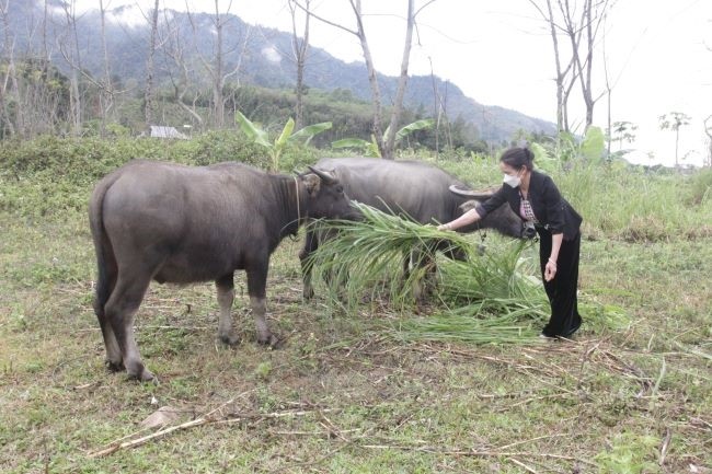 Yên Bái: Đảm bảo nguồn vốn chính sách giúp người dân xóa nghèo