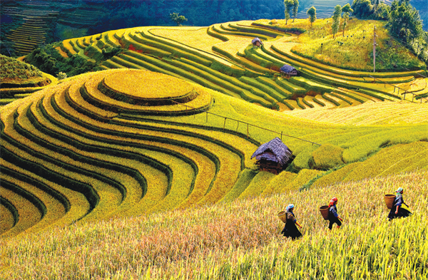 Huyện Mù Cang Chải nỗ lực đưa du lịch trở thành ngành kinh tế mũi nhọn