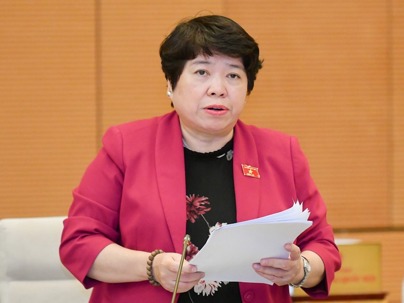 Chủ nhiệm Ủy ban Xã hội của Quốc hội Nguyễn Thúy Anh trình bày báo cáo.
