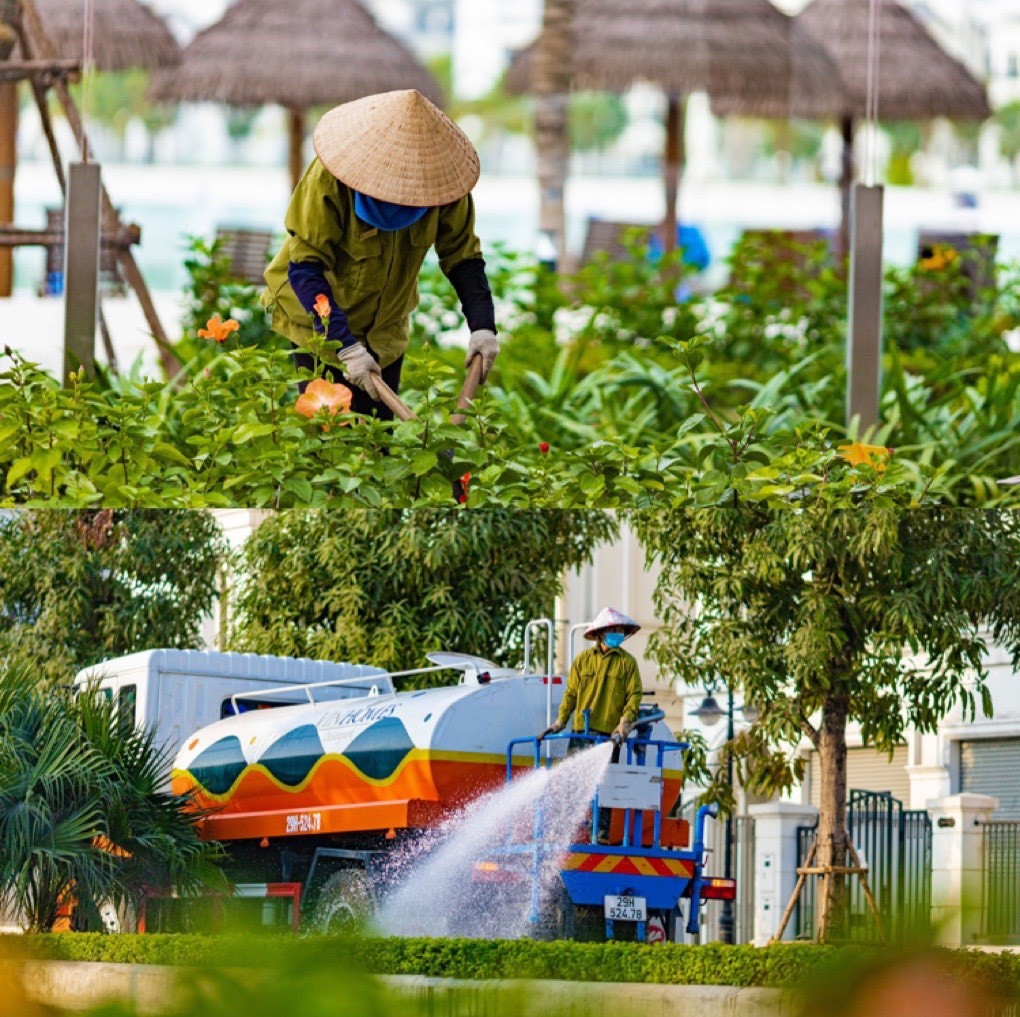 Cảnh quan xanh, sạch, đẹp của Vinhomes Ocean Park được chăm chút từng ngày