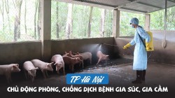 TP Hà Nội chủ động phòng, chống dịch bệnh gia súc, gia cầm