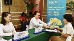 TP Hồ Chí Minh: Hỗ trợ doanh nghiệp du lịch tiếp cận nguồn vốn ưu đãi