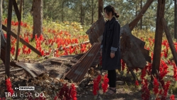 Nhà văn Di Li chuẩn bị tinh thần và can đảm mới dám xem "Trại Hoa Đỏ"