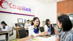 Co-opBank hợp tác với Quỹ tín dụng nhân dân đẩy mạnh dịch vụ ngân hàng số