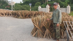 Môi trường làng nghề chỉ thực sự cải thiện khi có sự đồng thuận của cộng đồng dân cư