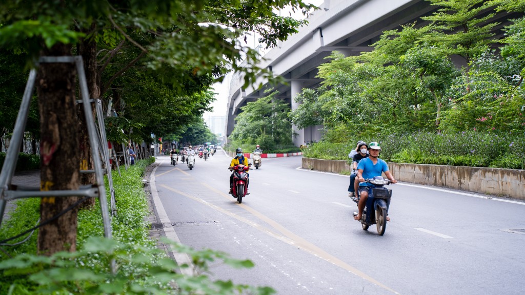 Bên dưới các gốc cây tán rộng là các thảm hoa thấp tầng, có tác dụng giảm bớt khói bụi và tiếng ồn từ xe cộ ở làn đường bên cạnh