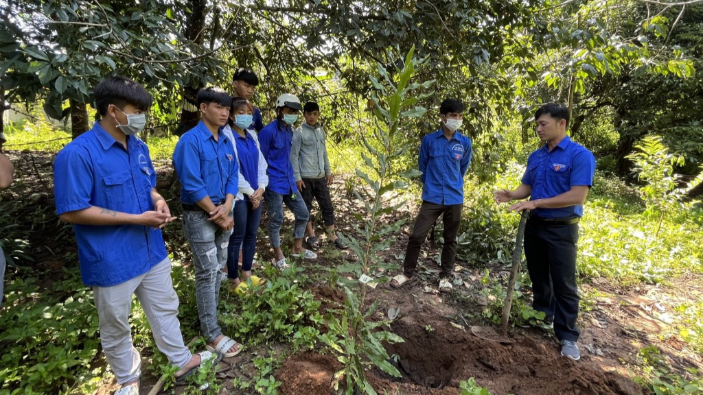 Tập huấn chuyển giao kỹ thuật cho thanh niên 