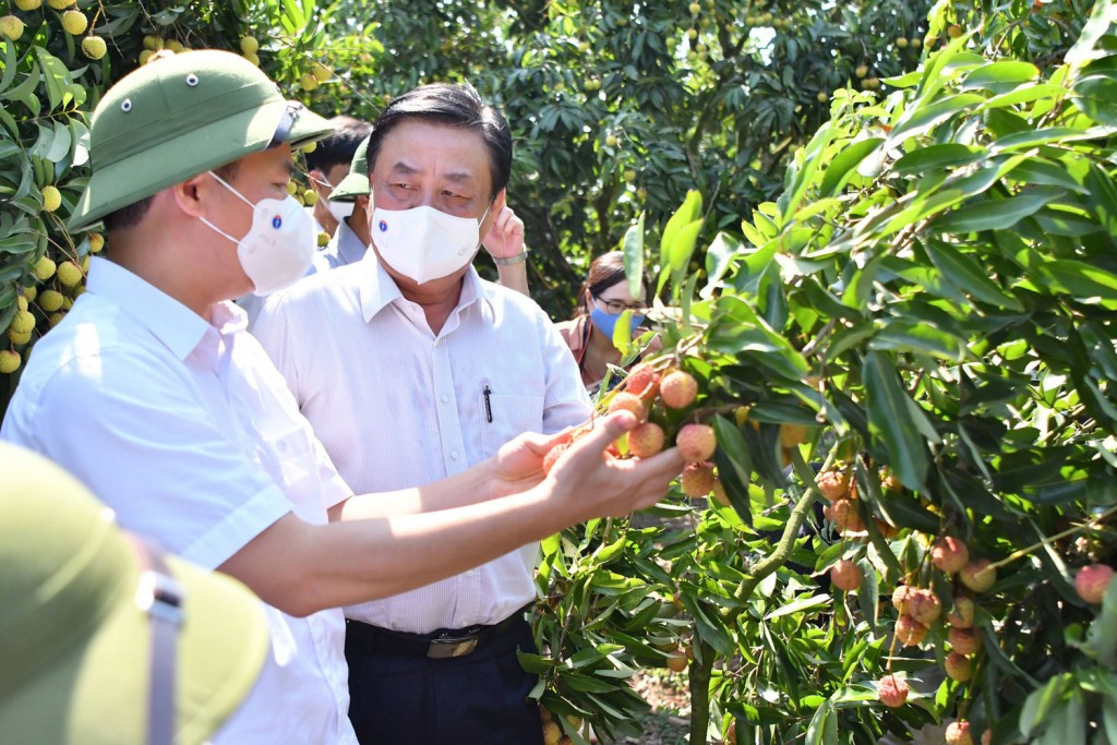 Đổi mới tư duy sản xuất, tạo nền tảng cho nông nghiệp hiện đại