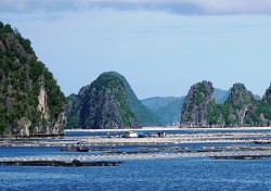 Quảng Ninh: 4 cán bộ bị đình chỉ công tác do liên quan đến việc ngư dân nuôi thủy, hải sản trái phép