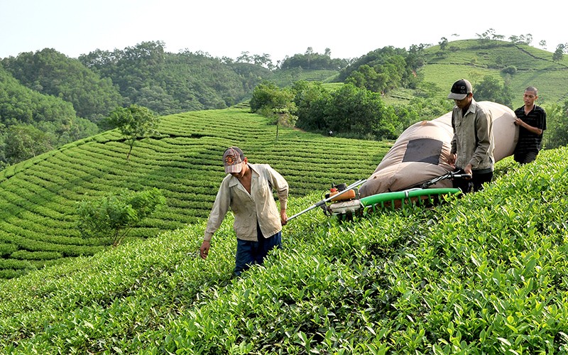 Nâng cao mức sống và thu nhập của người dân vùng đồng bào dân tộc thiểu số