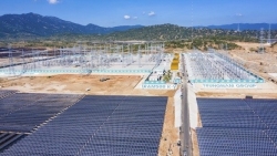 Trungnam Group kiến nghị gì khi bị dừng mua 40% công suất dự án điện mặt trời 450MW?