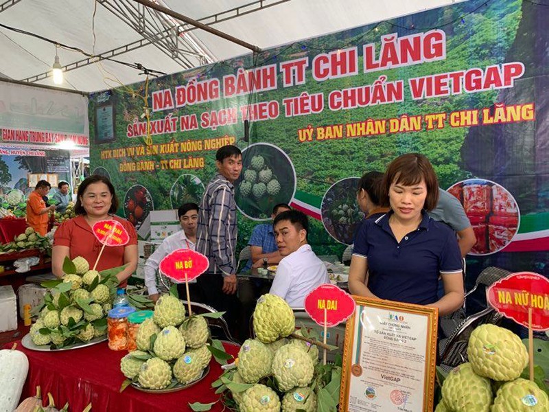 Khai mạc Hội chợ na Chi Lăng (Lạng Sơn): 3 quả na đặc biệt được bán đấu giá 159 triệu đồng