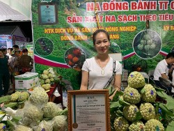 Khai mạc Hội chợ na Chi Lăng (Lạng Sơn): 3 quả na đặc biệt được bán đấu giá 159 triệu đồng