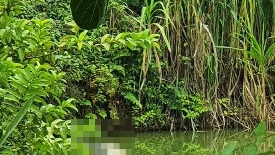 Lạng Sơn: Phát hiện một thi thể nam giới nổi trong ao