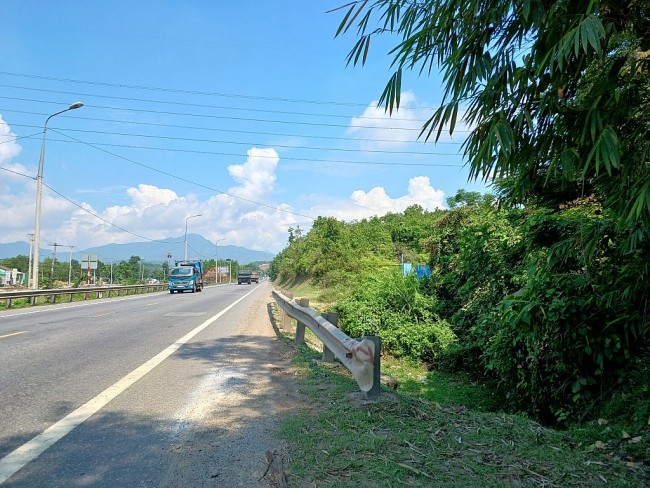 Đà Nẵng: Công ty Chính Nam 679 mở đường nhánh đấu nối trái phép