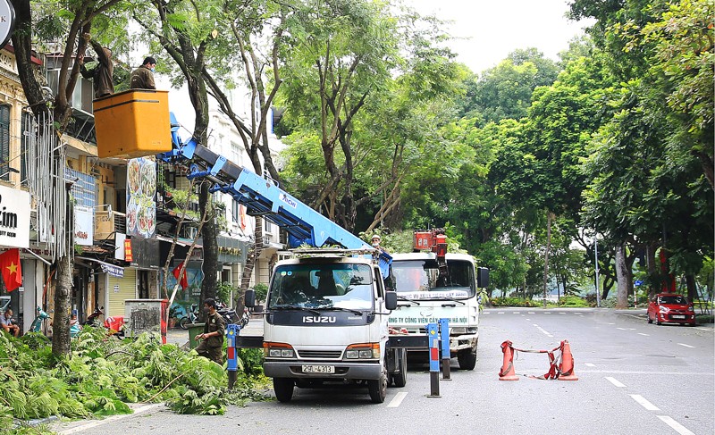 Cây xanh, biển quảng cáo tiềm ẩn nguy cơ mất an toàn trong mùa mưa bão