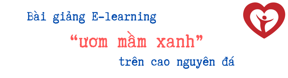 Dạy trò bằng cả yêu thương