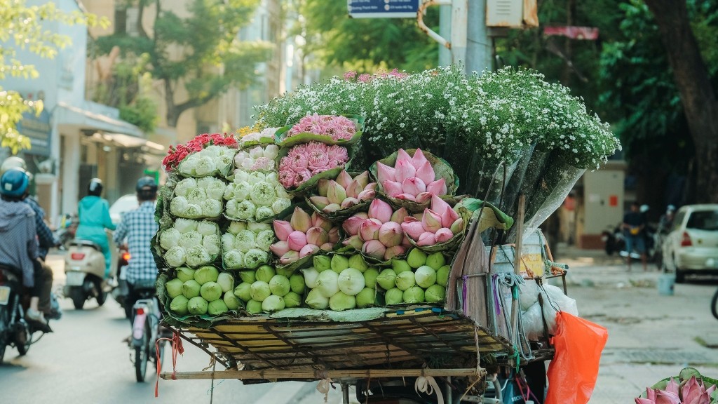 Mùa Thu cũng chính là mùa của nhiuef loài hoa đặc biệt của Thủ đô