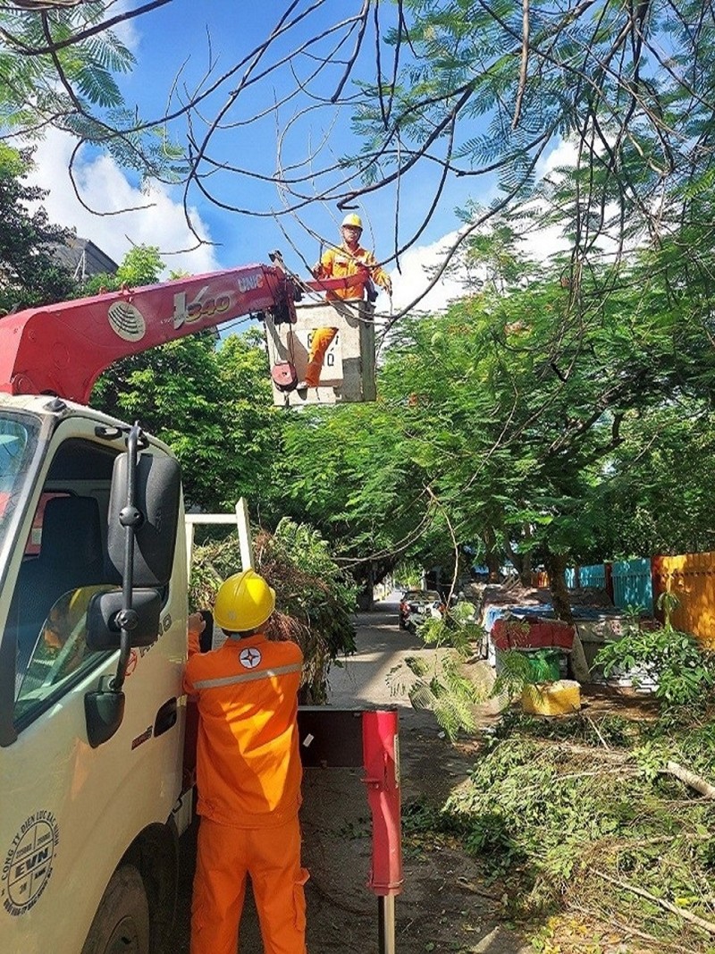 Công nhân Điện lực TP Bắc Ninh cắt tỉa cành cây đảm bảo hành lang an toàn lưới điện