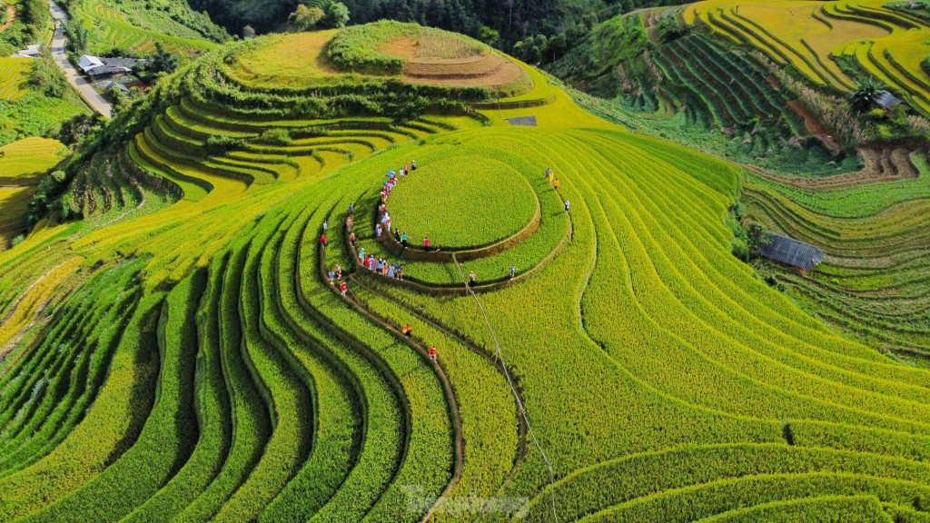 Mê mẩn ngắm tuyệt tác mùa vàng ở Mù Cang Chải