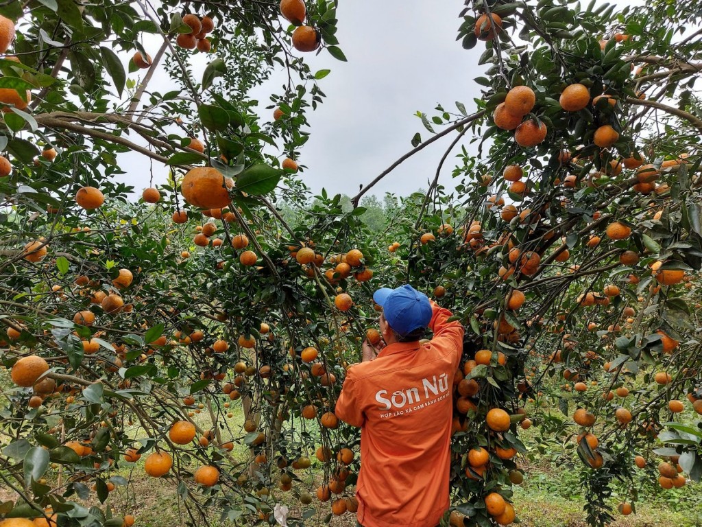 Khoa học công nghệ: Chìa khóa tạo bước đột phá trong xây dựng Nông thôn mới