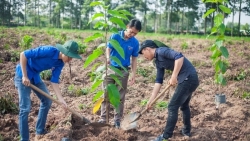 Quy định về hội đồng quản lý đơn vị sự nghiệp công lập ngành tài nguyên