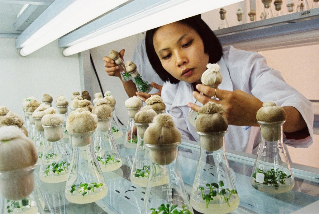 Nâng cao công tác chăm sóc sức khỏe Nhân dân