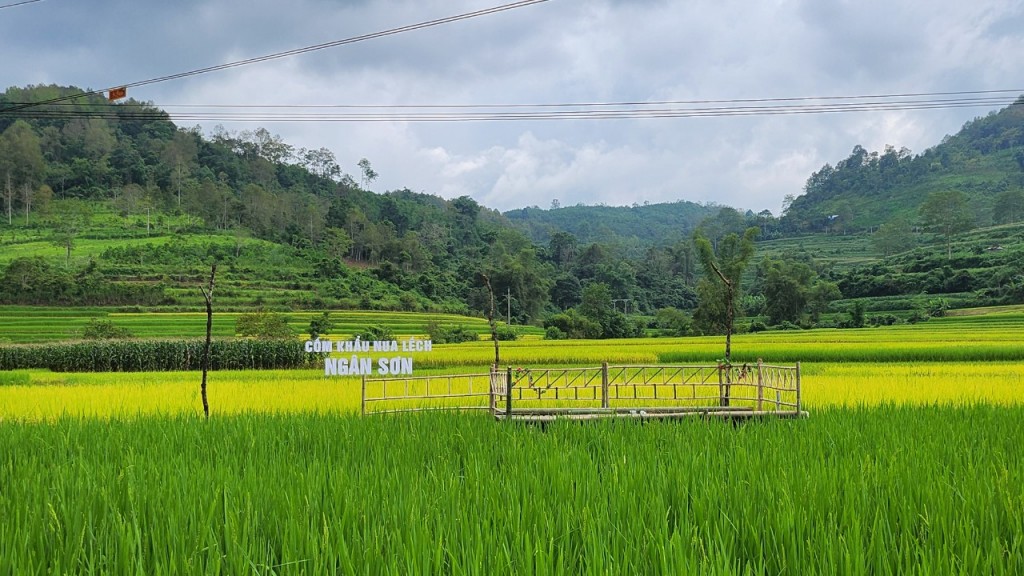 Dẻo thơm hương cốm Khẩu nua lếch Thượng Ân