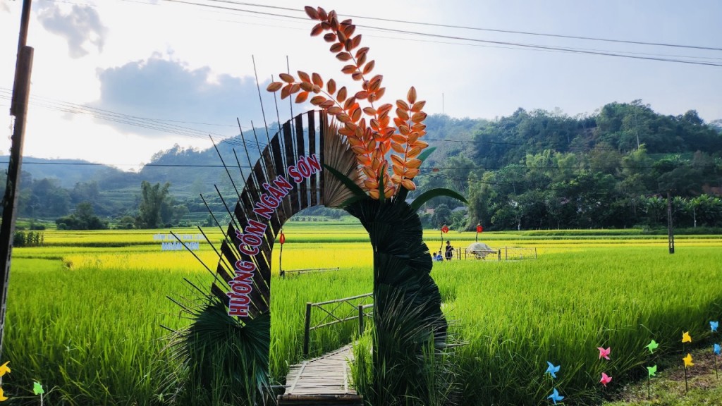 Dẻo, thơm hương cốm Khẩu nua lếch Thượng Ân