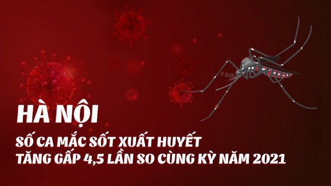 Hà Nội số ca mắc sốt xuất huyết tăng gấp 4,5 lần so cùng kỳ năm 2021