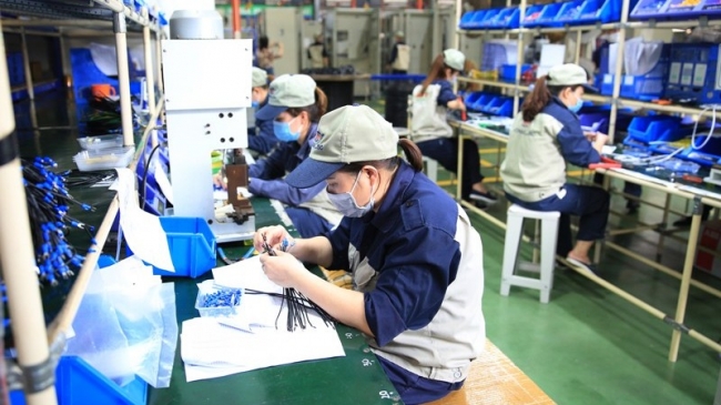 Quyết liệt thanh tra thu hồi nợ BHXH, bảo vệ quyền lợi người lao động