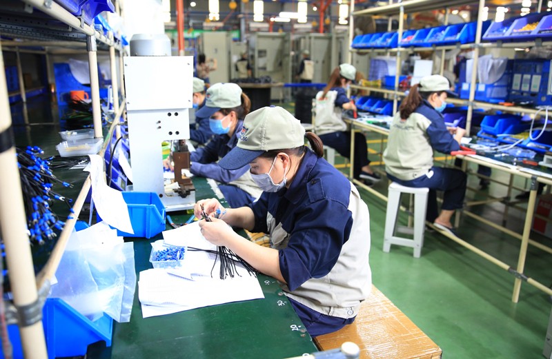 Quyết liệt thanh tra thu hồi nợ BHXH, bảo vệ quyền lợi người lao động