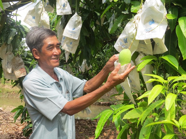 Đẩy mạnh liên kết vùng, ứng dụng công nghệ cao trong sản xuất nông nghiệp bền vững