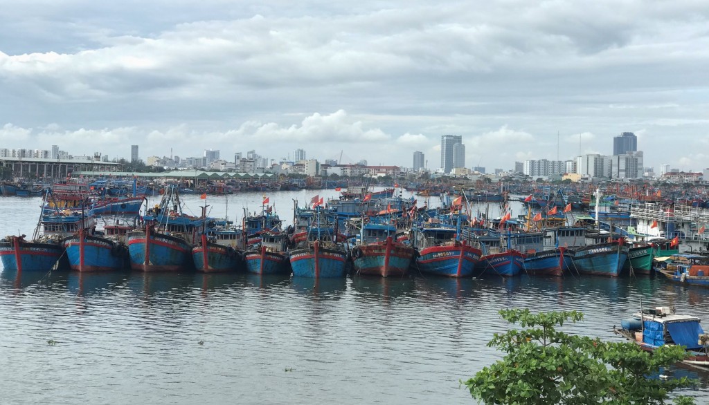 Tại âu thuyền Thọ Quang, hàng trăm tàu thuyền của ngư dân Đà Nẵng, TT- Huế, Quảng Nam và Quảng Ngãi đã vào nơi tránh trú an toàn (Ảnh Đ.Minh)