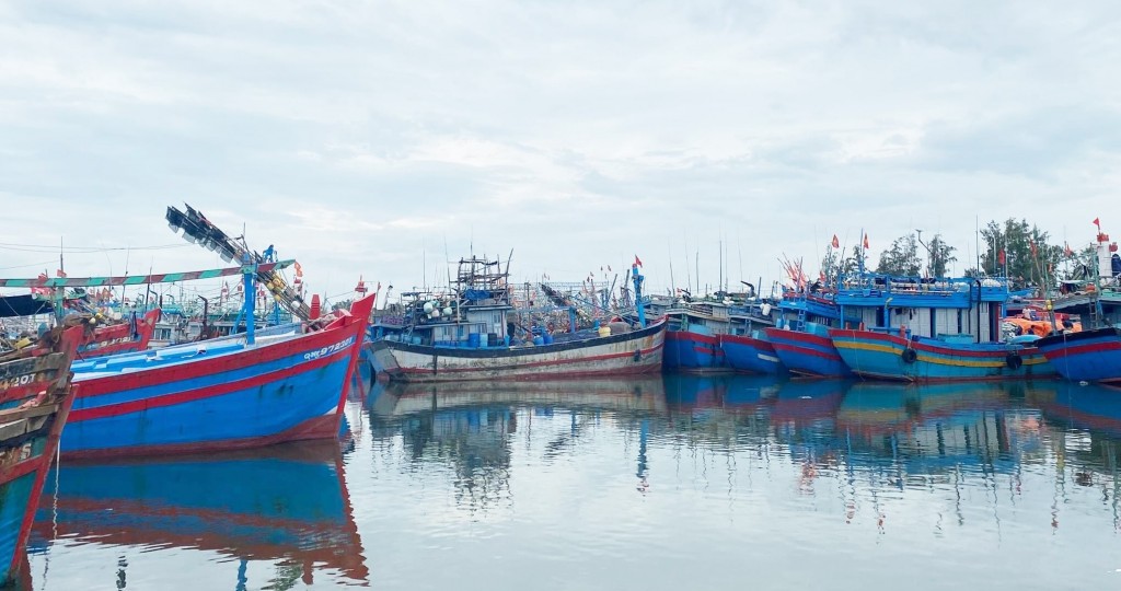 Quảng Nam kiên quyết không để người ở lại trêu tàu thuyền, lồng bè và hoàn thành trước 12h ngày 27/9 (Nguồn Thông tin PCTT) 